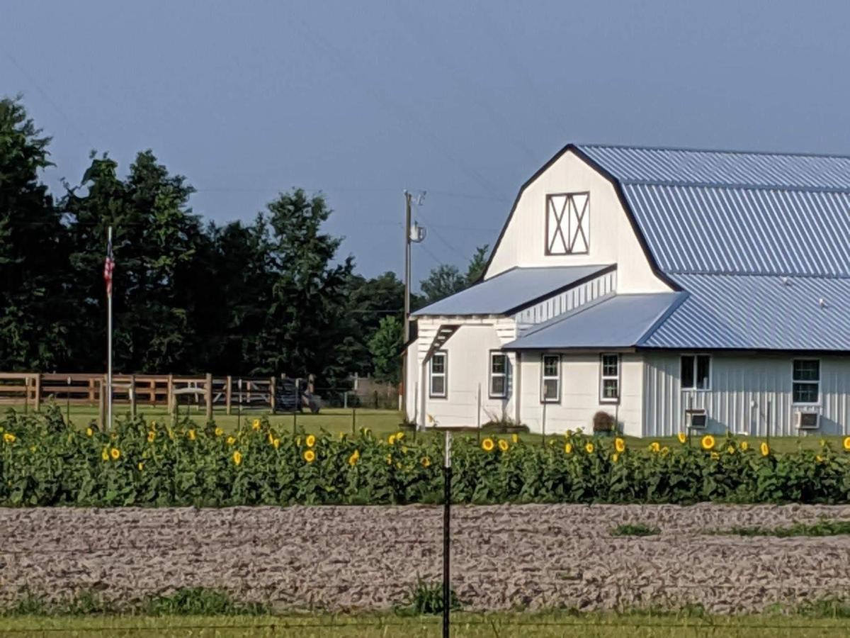 Bunkhouse Farm Stay Fort White Exterior foto